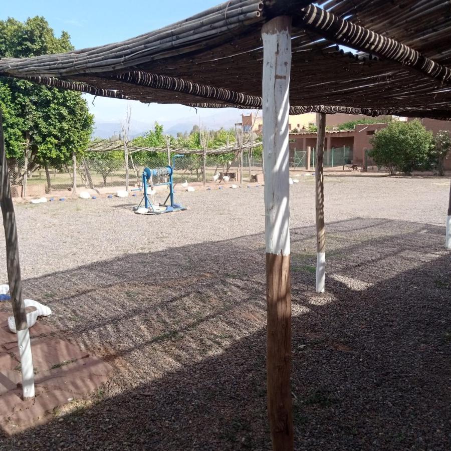 Villa Ferme Berbere Marrakesh Eksteriør bilde